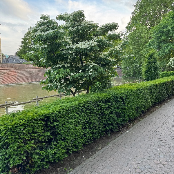 Innenbereich Schloss Cafe, Ahaus